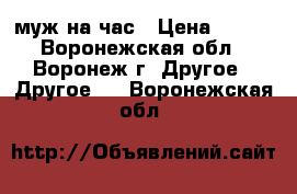 муж на час › Цена ­ 100 - Воронежская обл., Воронеж г. Другое » Другое   . Воронежская обл.